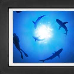 12 Picture Frame Graphics