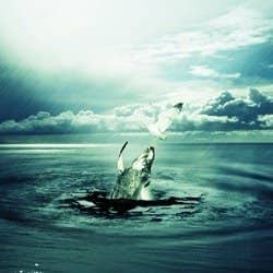Create a Dramatic Photo Manipulation of a Whale Stealing from a Seagull