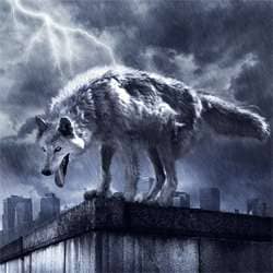 How to Create a Photo Manipulation of a Wolf in Stormy Weather