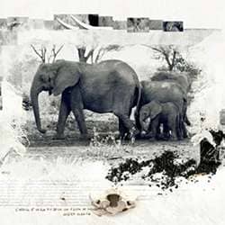 20 Inspirational Images by Photographer/Graphic Designer Speranza Casillo