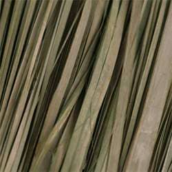 Dried Grass Textures