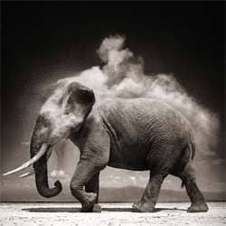 27 Captivating Black and White Photos