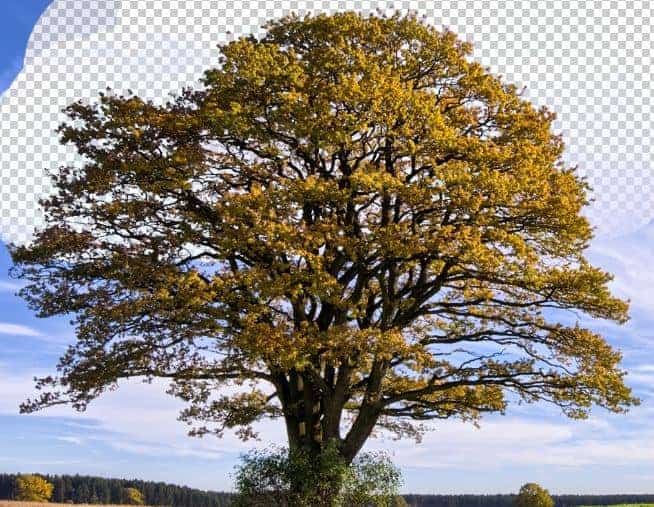 clip_image009 clip_image009