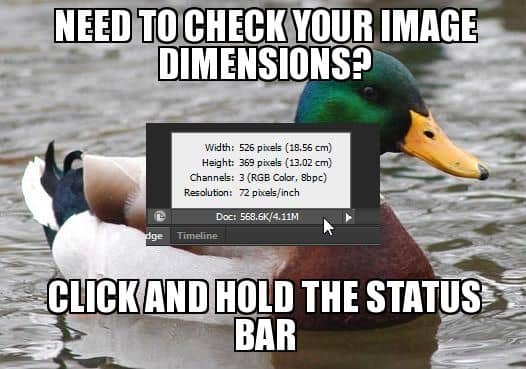 Need to check your image dimensions? Click and hold the status bar. Need to check your image dimensions? Click and hold the status bar.