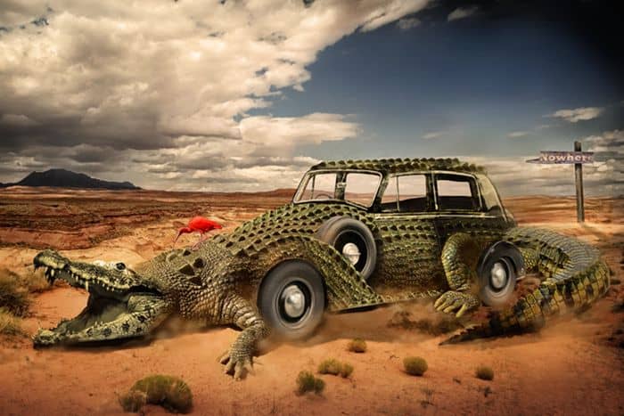 Crocodile Car