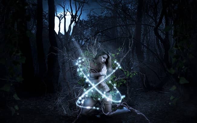 Create an Alluring and Magical Forest Photo Manipulation