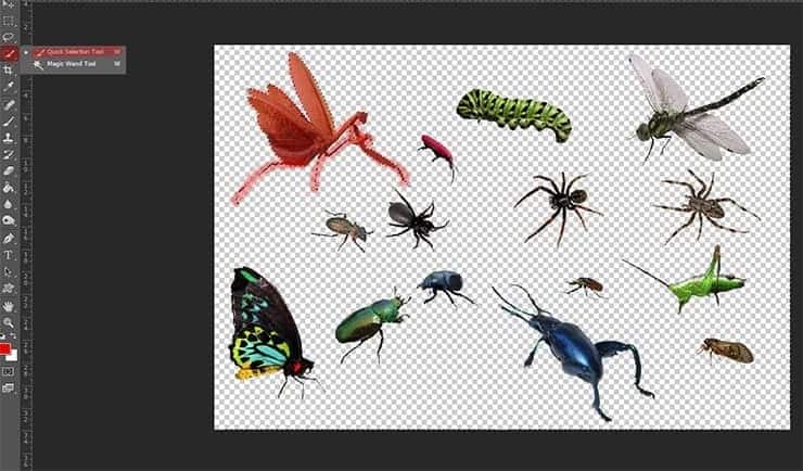 How to Add Creepy Bugs to Your Photos - Photoshop Tutorials