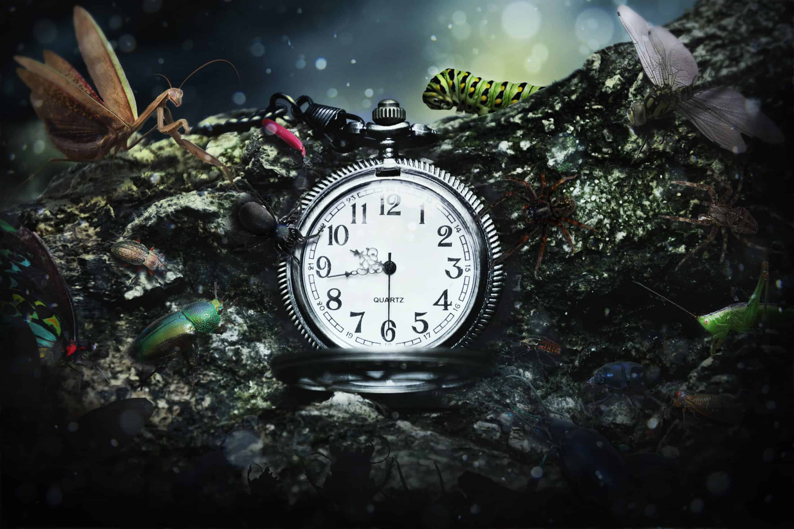 How to Add Creepy Bugs to Your Photos - Photoshop Tutorials