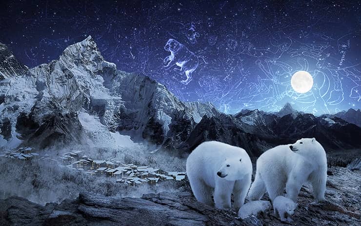 Create a Magical Starry Night of Polar Bears in Photoshop