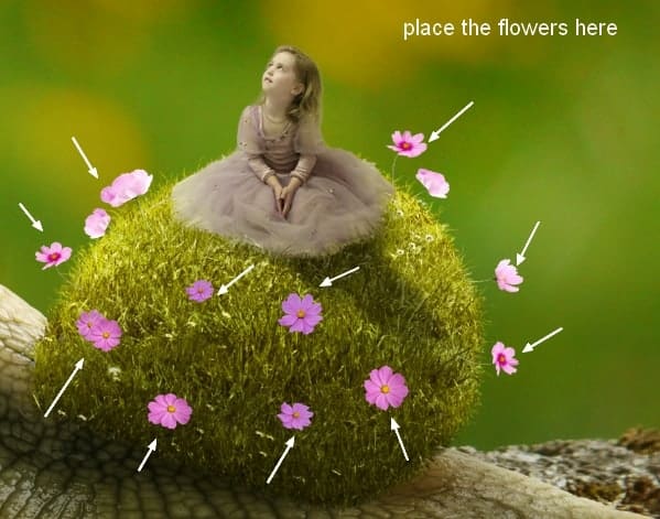 snail20