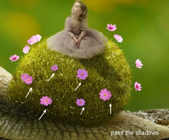 snail23