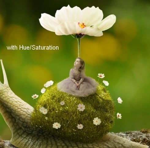 snail25a