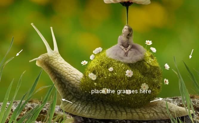 snail28