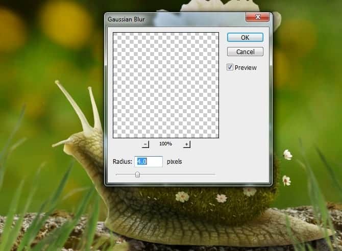 snail28a