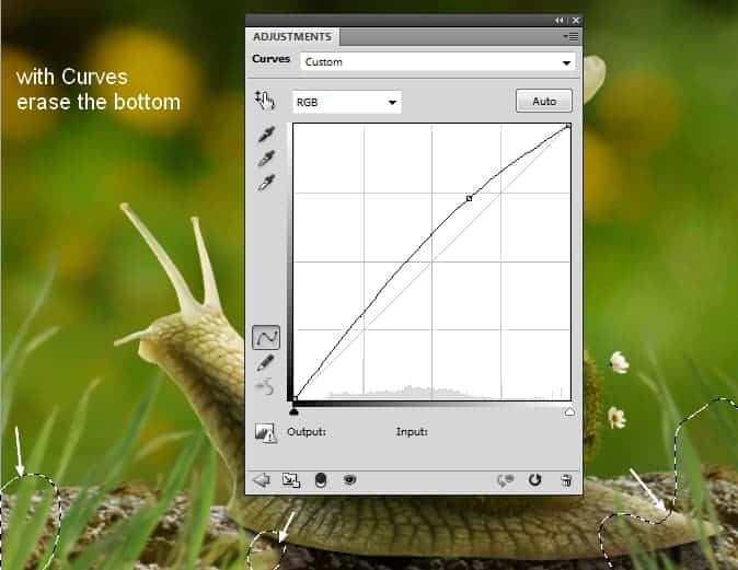 snail29