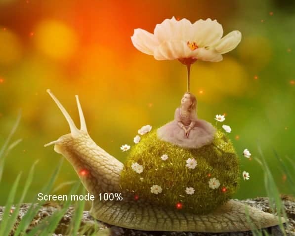 snail30a