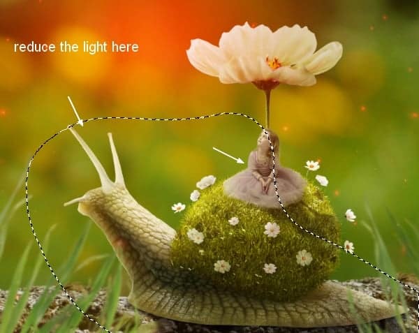 snail30b