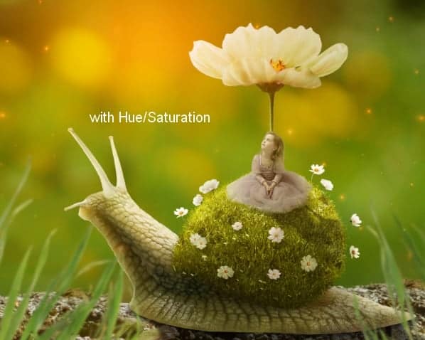 snail31a