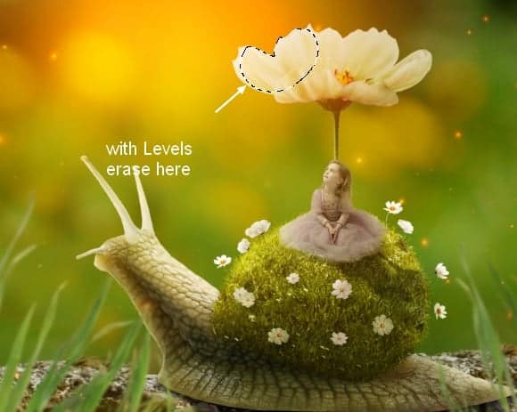 snail32a