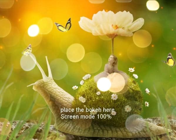 snail37
