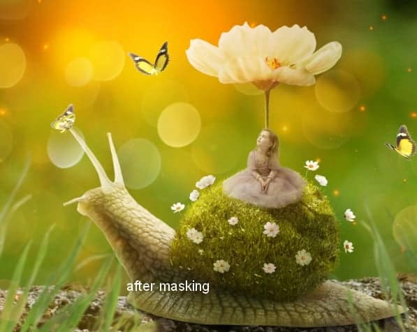 snail37a