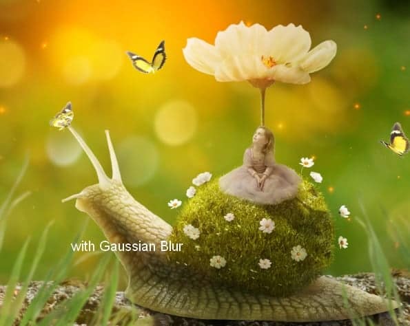 snail37c