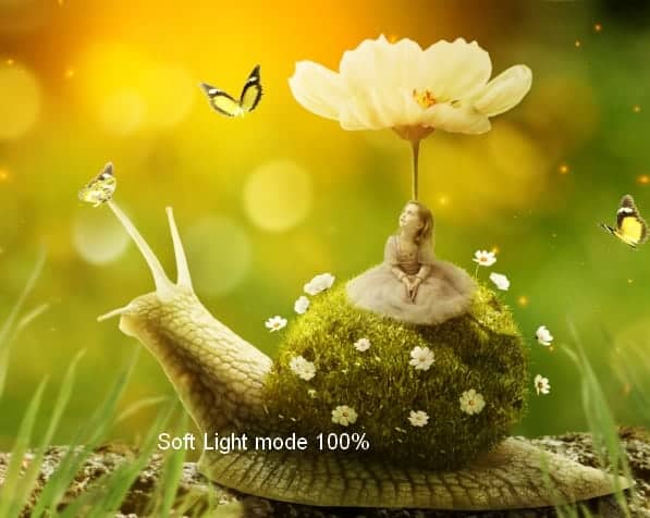 snail38a