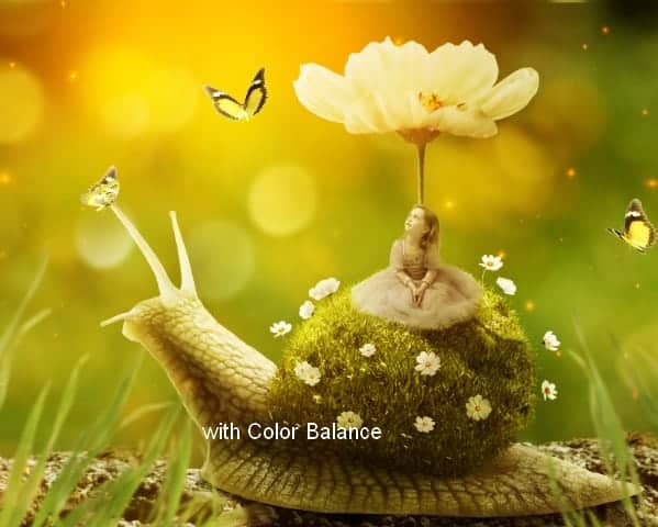 snail39a