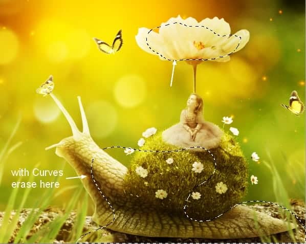 snail40a