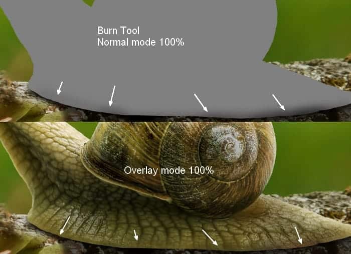 snail9a