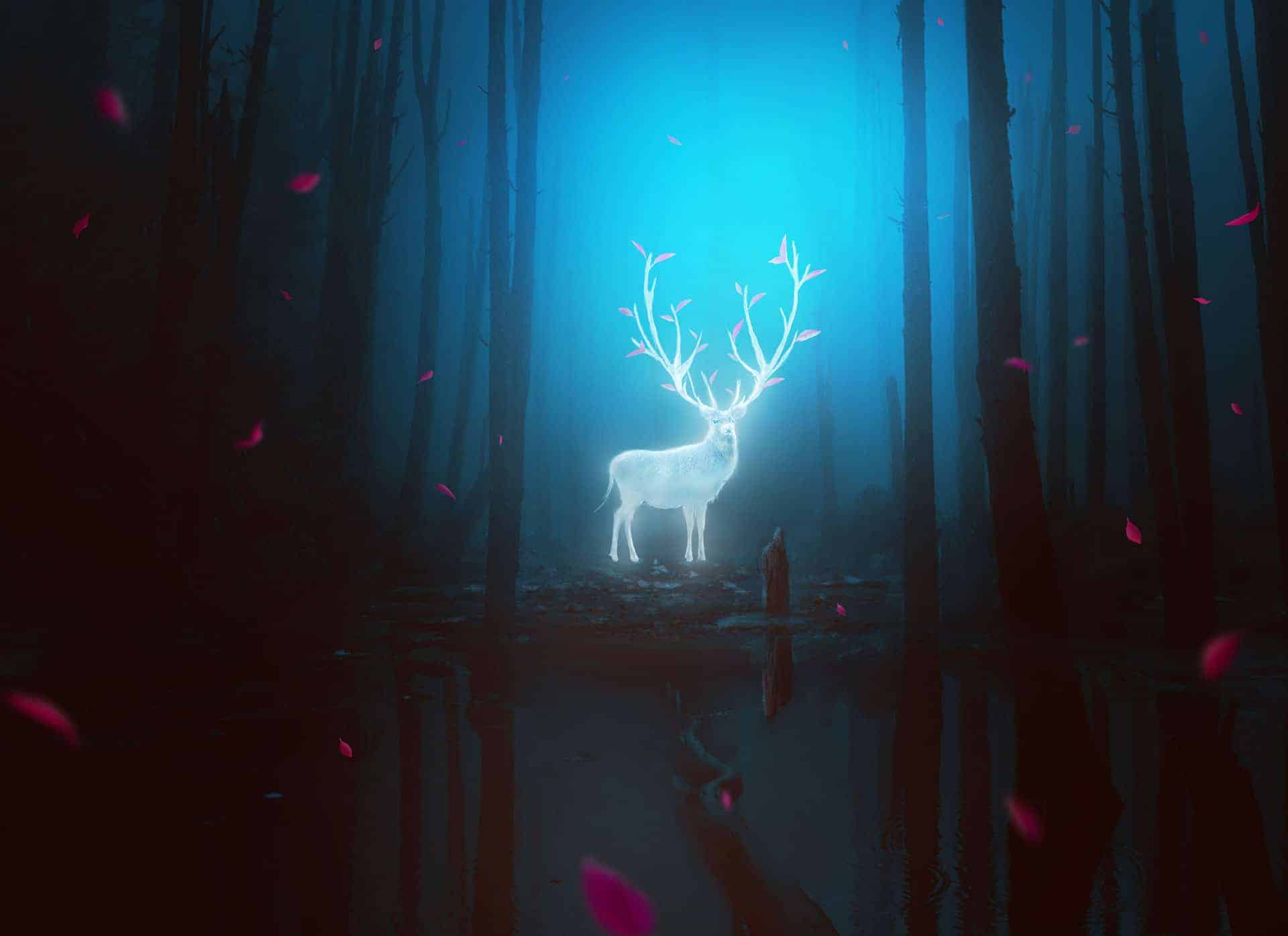 How to Create a Fantasy Deer Photo Manipulation With Adobe Photoshop