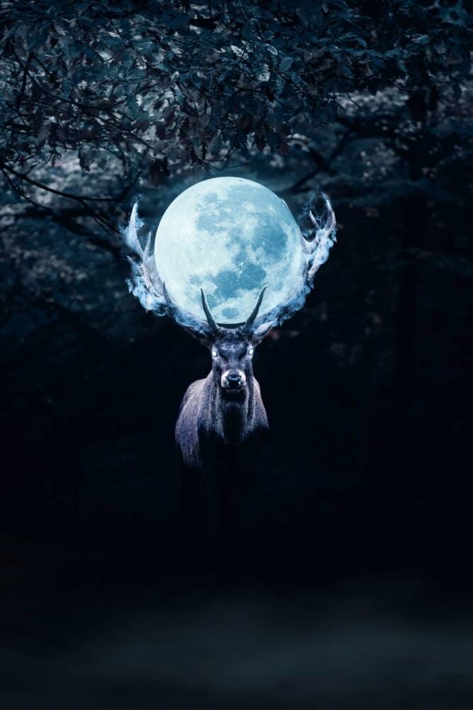 Mysterious Deer in Night Photoshop Manipulation - Photoshop Tutorials