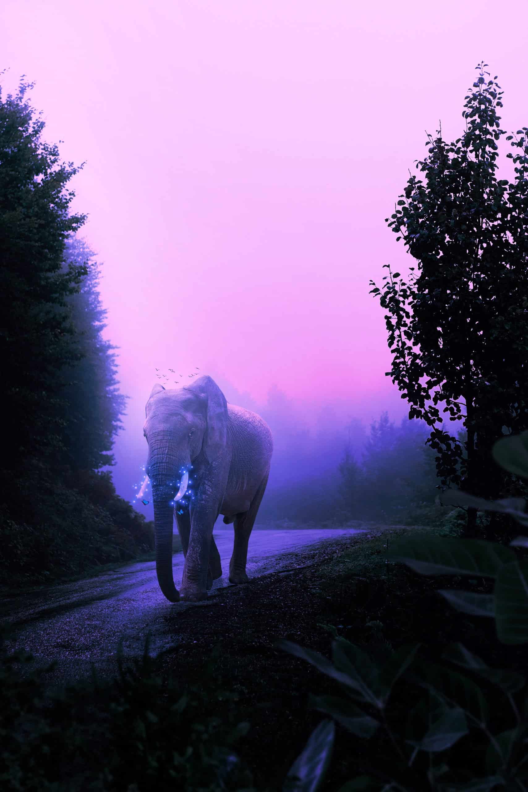 How to Create a Mystical Glowing Elephant in Photoshop
