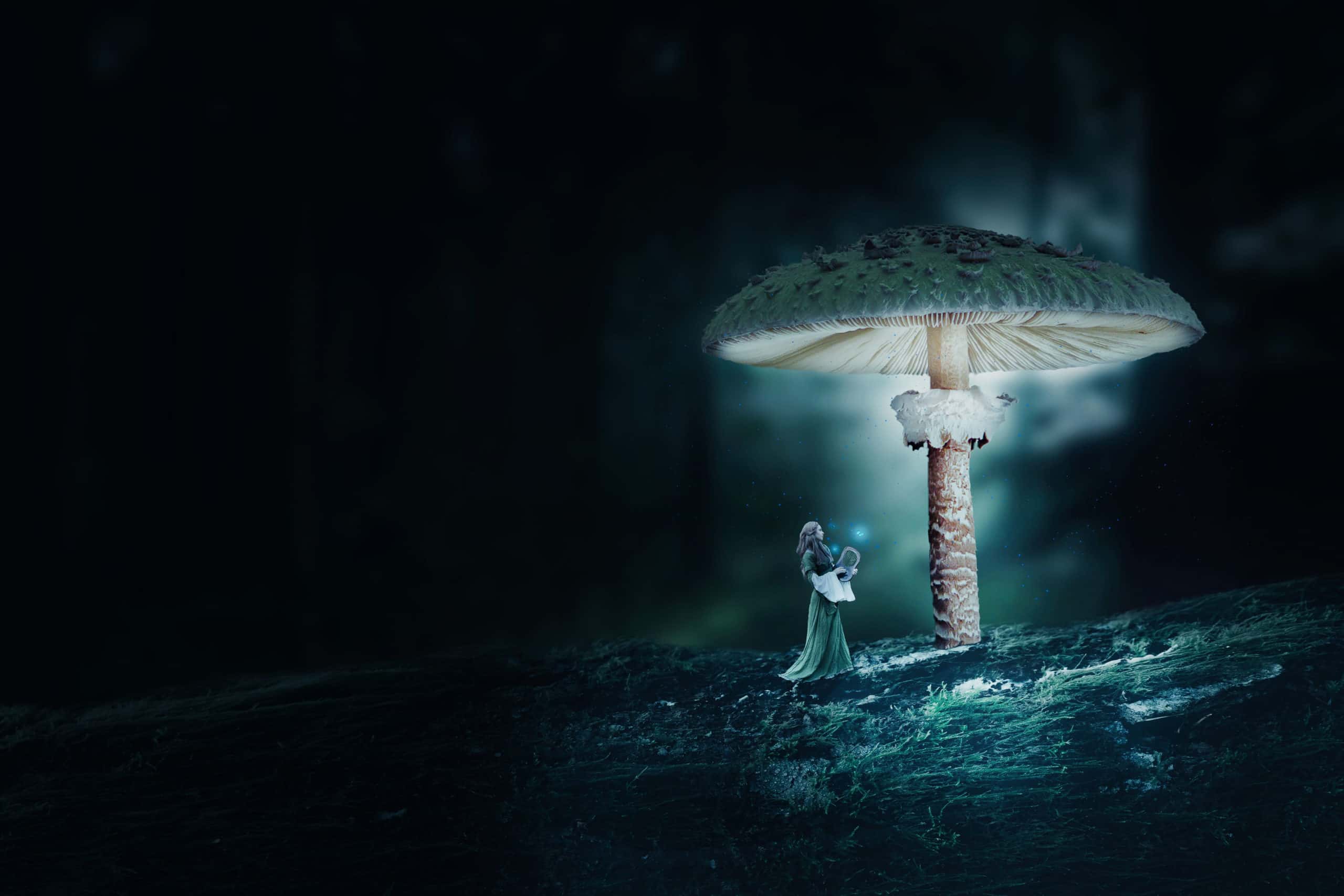 Create a Surreal Mushroom Forest Night Scene in Photoshop