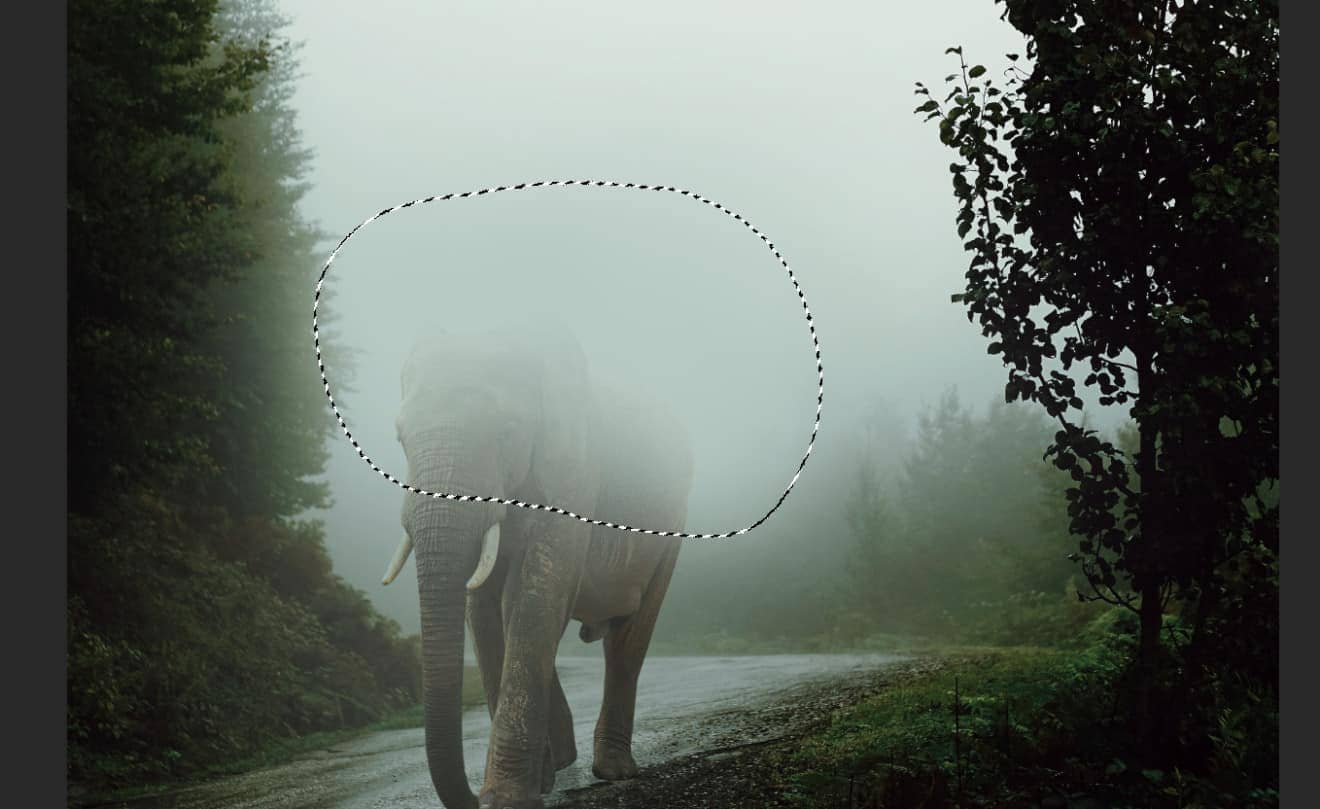 How To Create A Mystical Glowing Elephant In Photoshop Photoshop How To Create A Mystical Glowing Elephant In Photoshop Photoshop