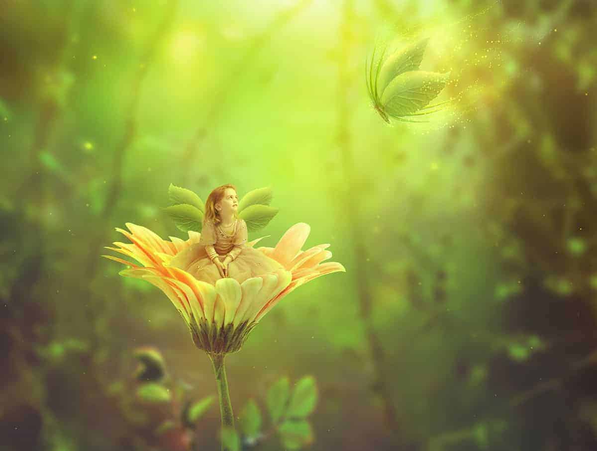 How to Create a Fantasy Fairy Scene Photo Manipulation with Adobe Photoshop