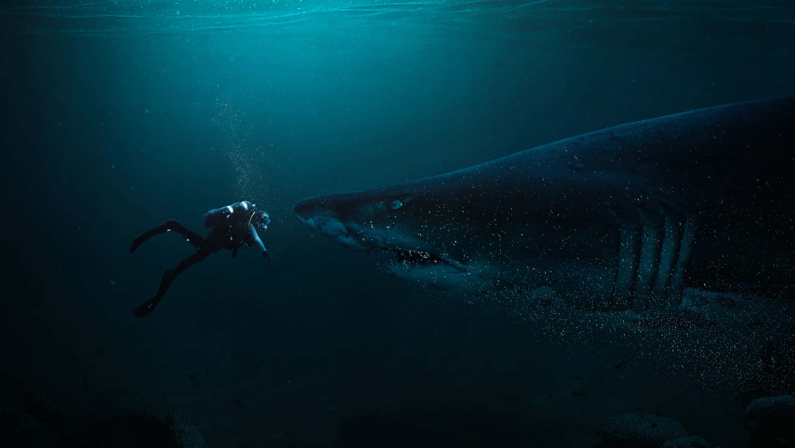 Create a Photomanipulation of a Shark and a Diver