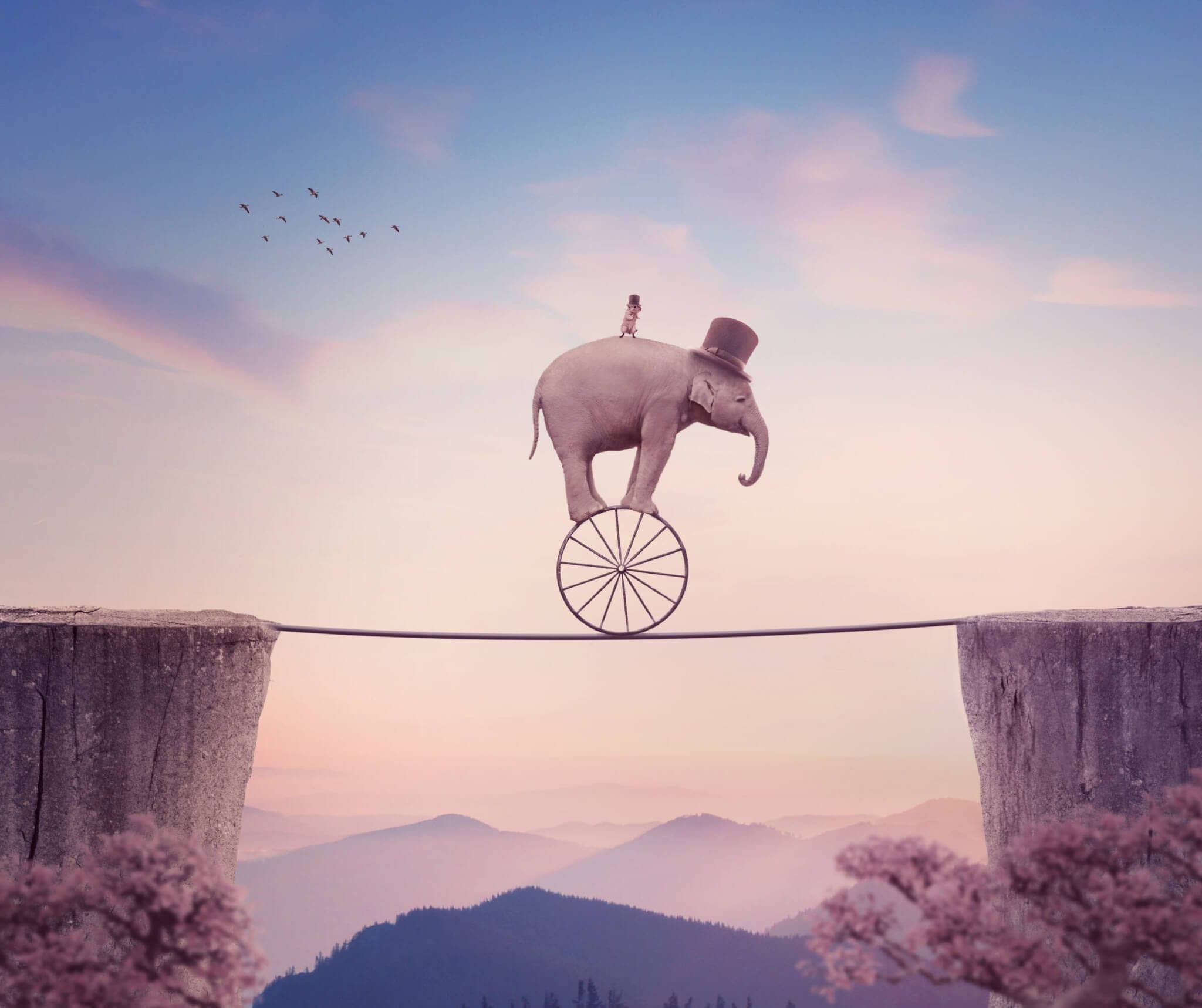 How To Create A Surreal Elephant Photo Manipulation With Adobe How To Create A Surreal Elephant Photo Manipulation With Adobe
