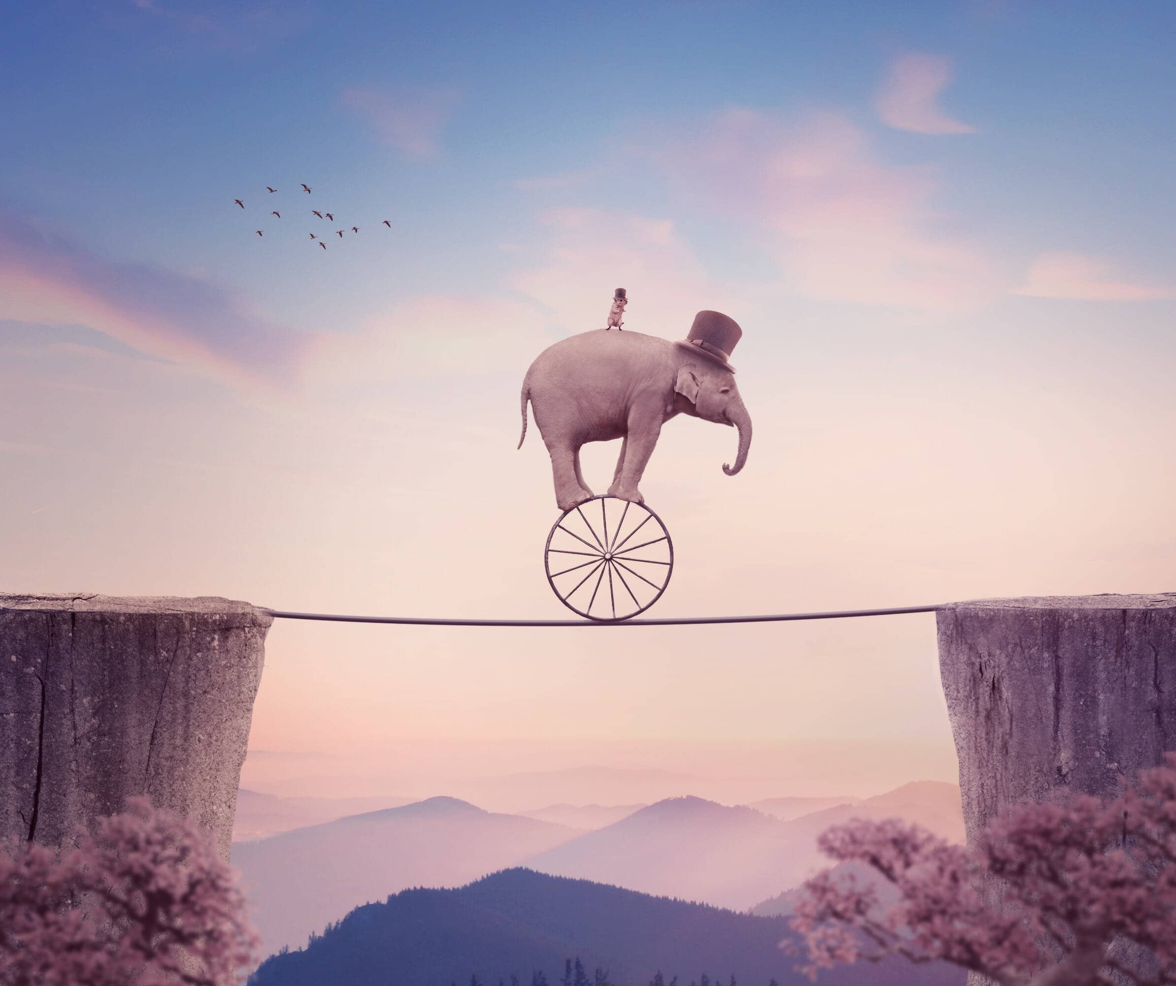 How to Create a Surreal Elephant Photo Manipulation with Adobe Photoshop