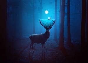 How to Create a Surreal Deer Photo Manipulation with Adobe Photoshop