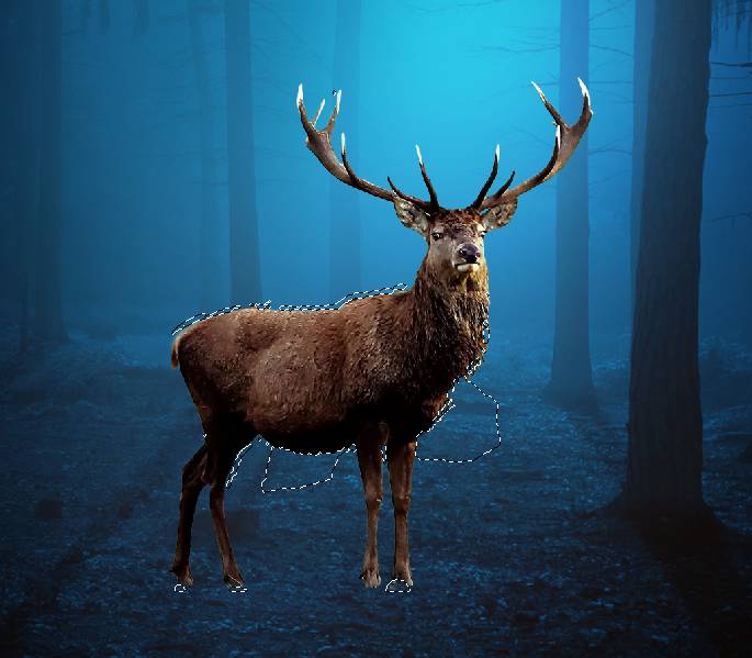 How To Create A Surreal Deer Photo Manipulation With Adobe Photoshop ...