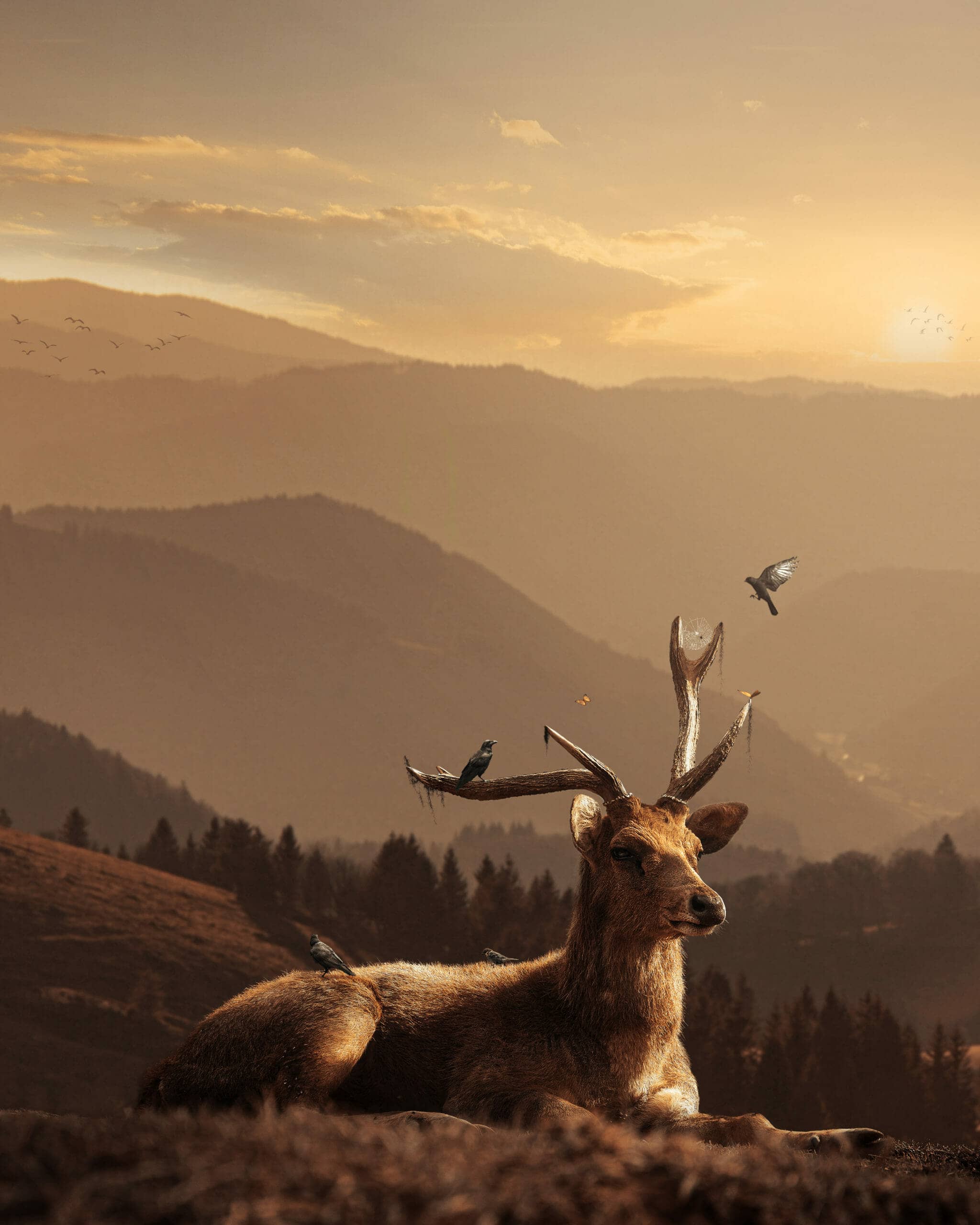 Create a Warm Landscape Scene of a Deer Photoshop Tutorial