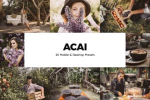 8 Free Acai Lightroom Presets and LUTs