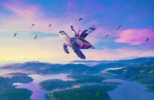How to Create a Fantasy Flying Turtle with Adobe Photoshop