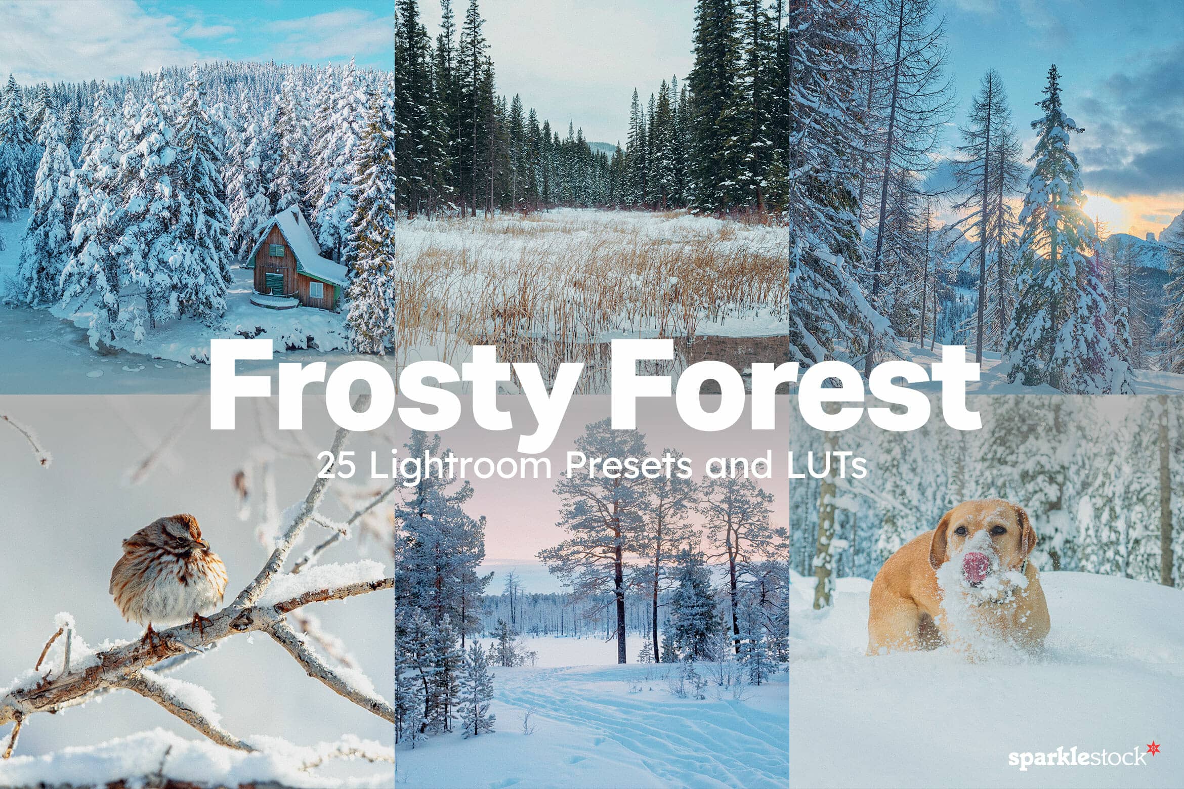 10 Free Winter Forest Lightroom Presets and LUTs