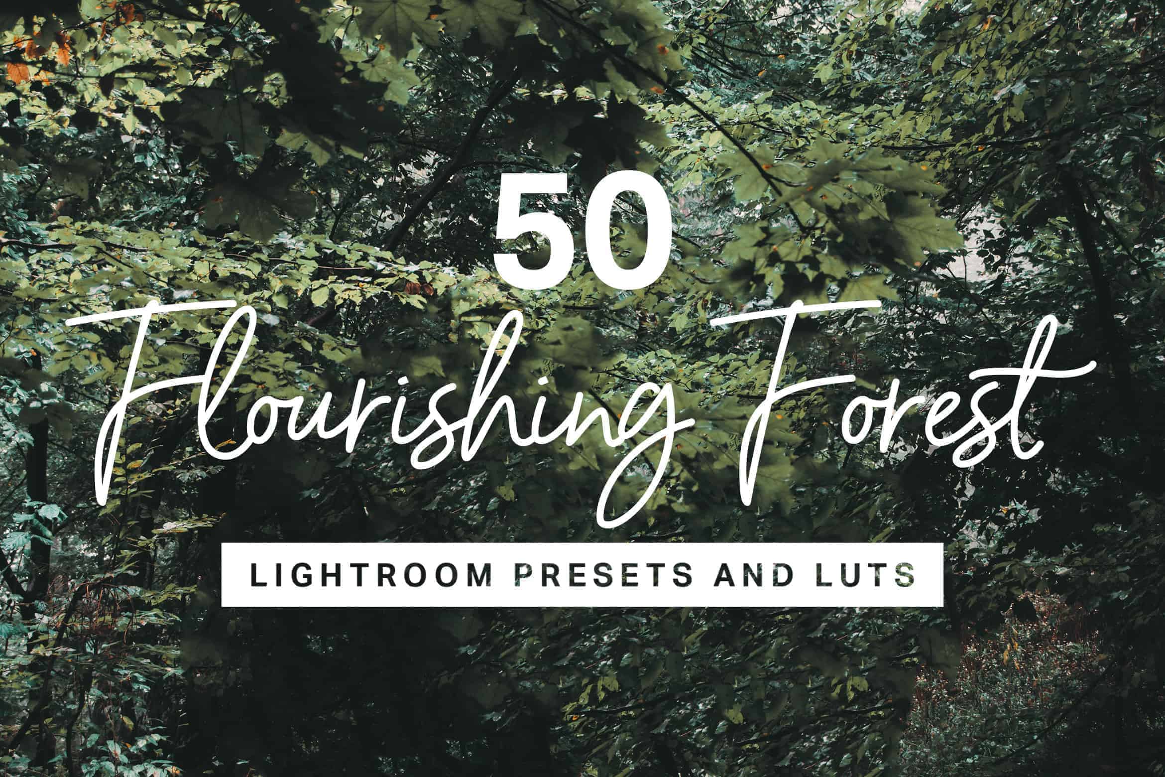 10 Flourishing Forest Lightroom Mobile and Desktop Presets