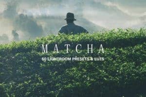 10 Matcha Green Lightroom Presets