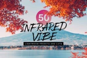 10 Infrared Vibe Lightroom Presets