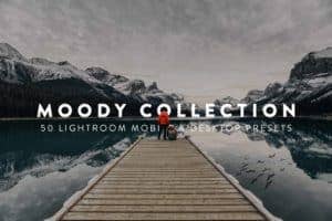 10 Moody Lightroom Presets