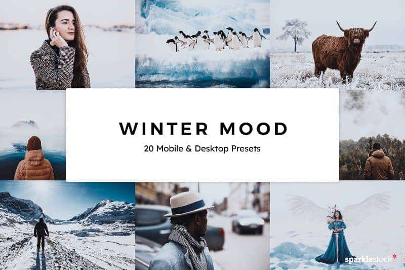 Free: 8 Winter Mood Lightroom Presets and LUTs